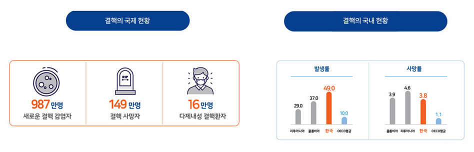 결핵 국내외 현황 (출처=큐라티스)