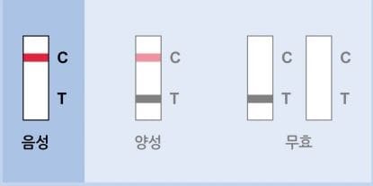 코로나 자가검사키트 이미지