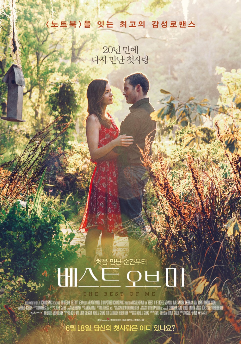 베스트오브미 The Best of Me 2014