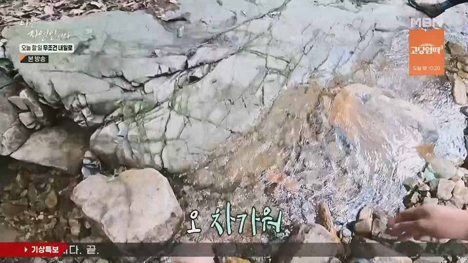 나는 자연인이다.E562.230712p.H264-F1RST.mp4_20230713_204716.215.jpg