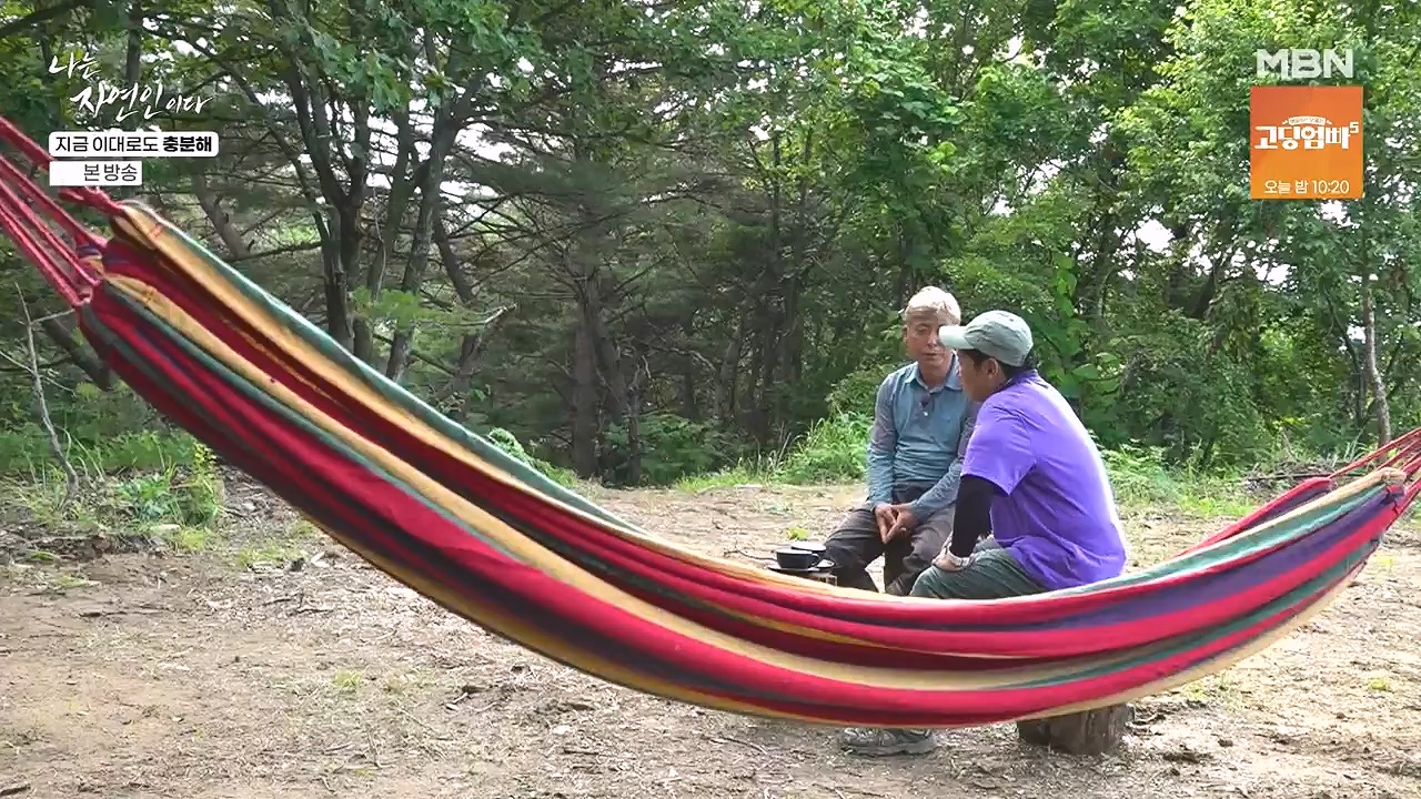 나는 자연인이다.E615.240725p-NEXT.mp4_20240725_200726.469.jpg