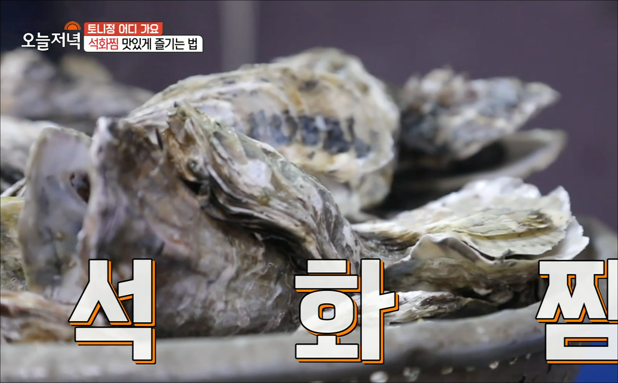  [TV속맛집] 서울 서대문구 석화찜 맛집 고흥식당 #생방송 오늘저녁에 소개된 석화찜 고흥식당