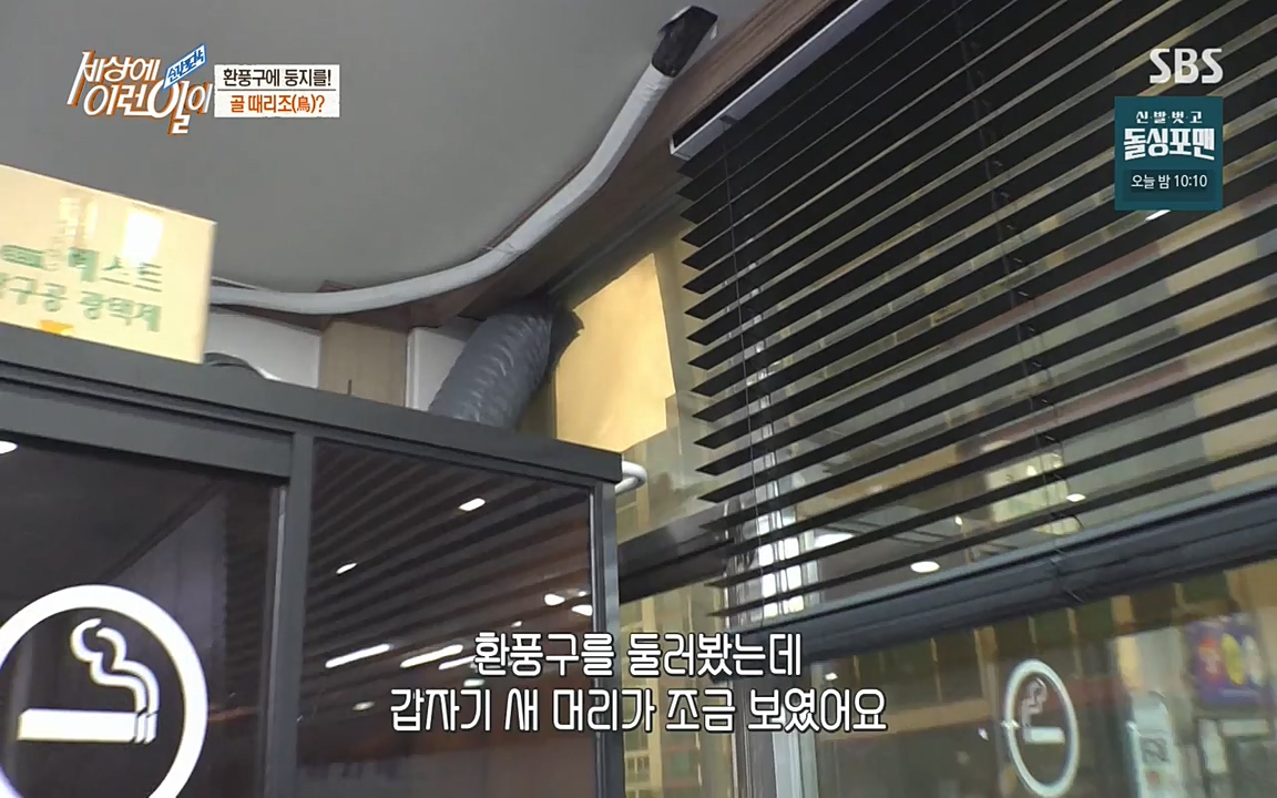 순간포착 세상에 이런일이.E1188.220713p-NEXT.mp4_20220713_175321.664.jpg