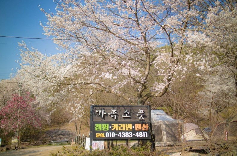 벚꽃 캠핑장 담양 가족소풍캠핑장