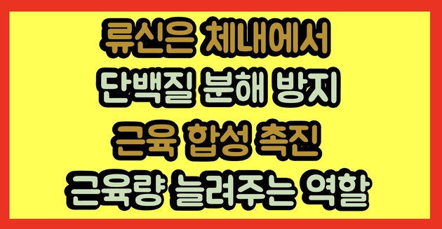  류신이 많은 음식, 근감소증 예방에 효능