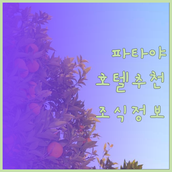 파타야 호텔 선택의 모든 것? 조식 