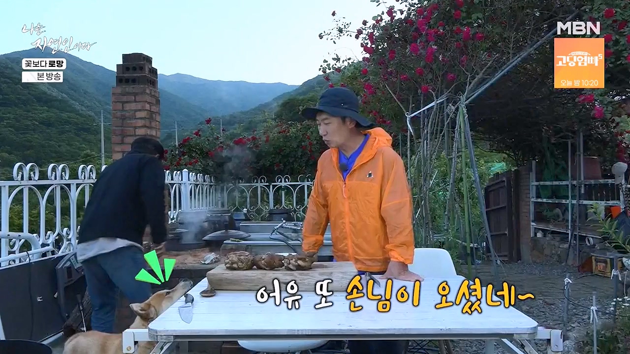 나는 자연인이다.E608.240606p-NEXT.mp4_20240606_164047.733.jpg