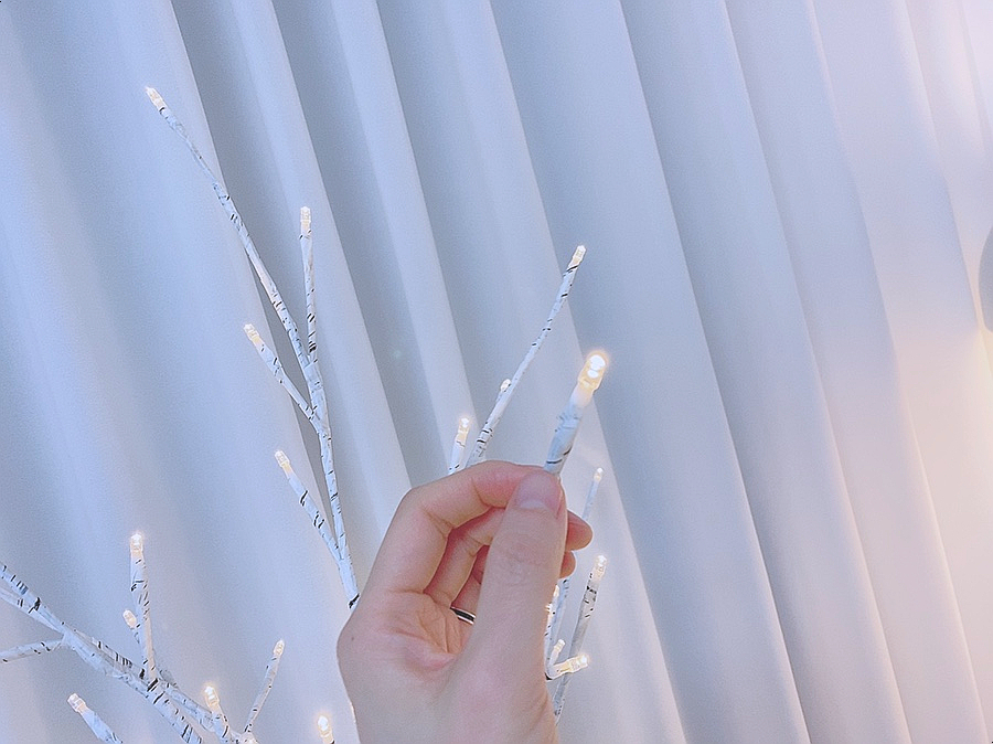 자작나무와 함께 화이트 크리스마스 준비 1