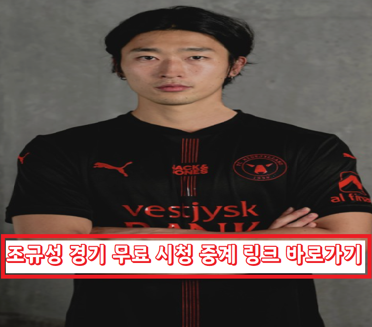  조규성 경기 무료 중계 바로가기 덴마크 리그 시청