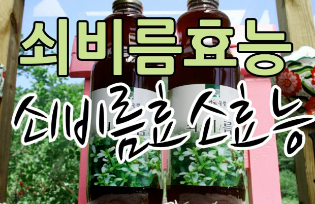  쇠비름 효소효능: 심혈관 건강을 개선하는 자연의 힘