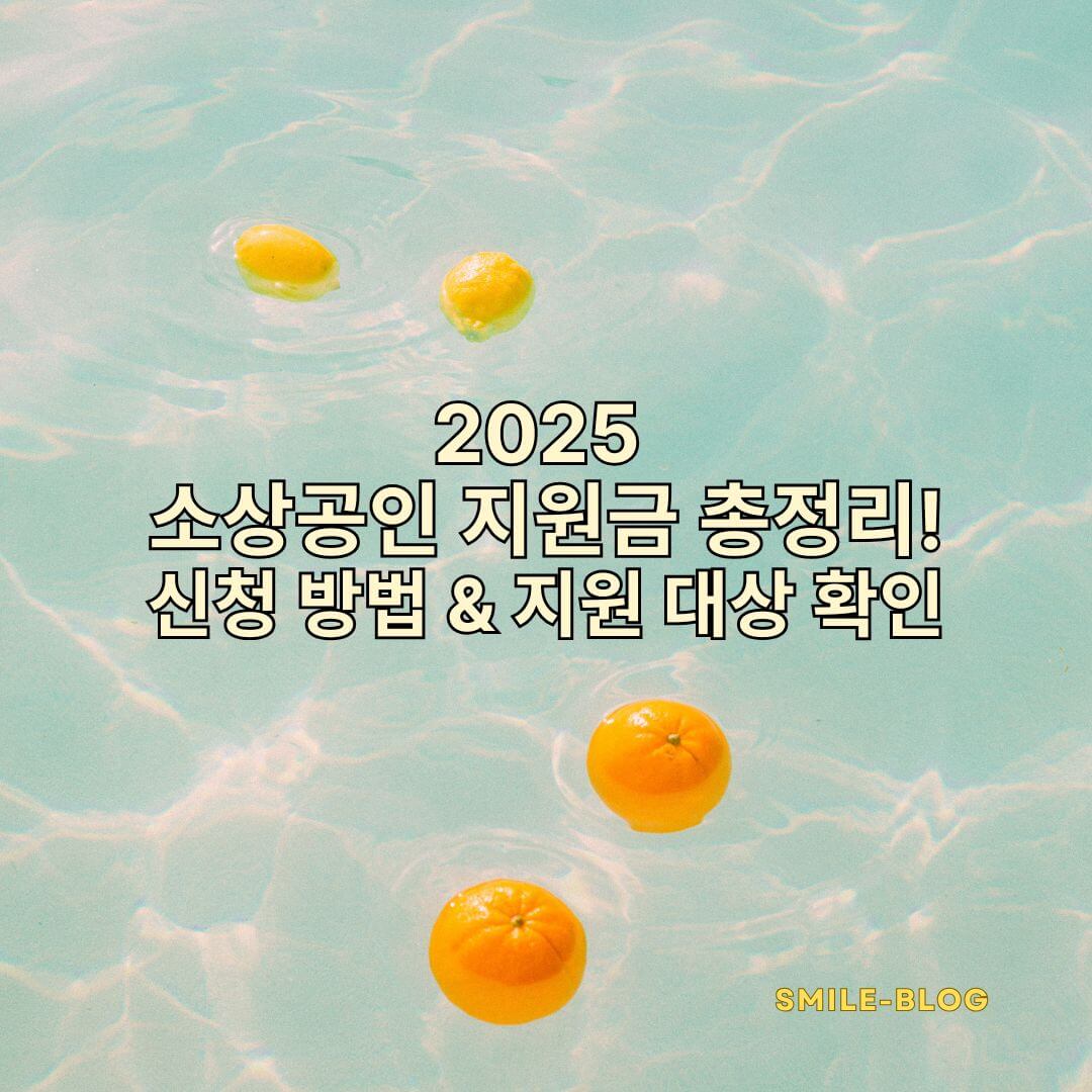 2025 소상공인 지원금 총정리! 신청 방법 &amp; 지원 대상 확인