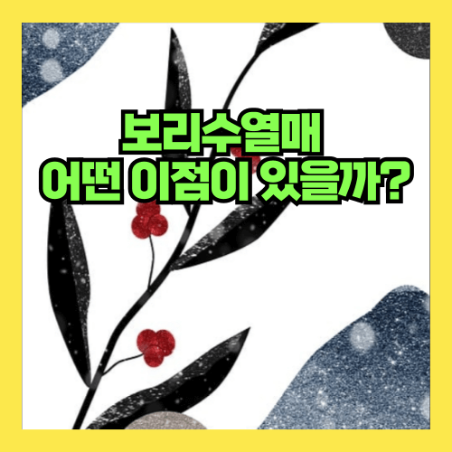 보리수열매 효능