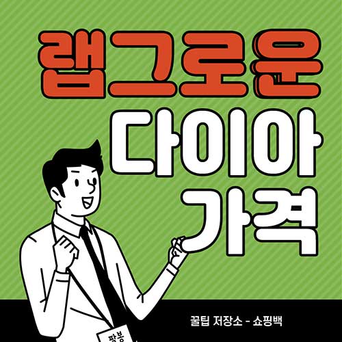 랩그로운-다이아몬드-1캐럿-가격-총정리