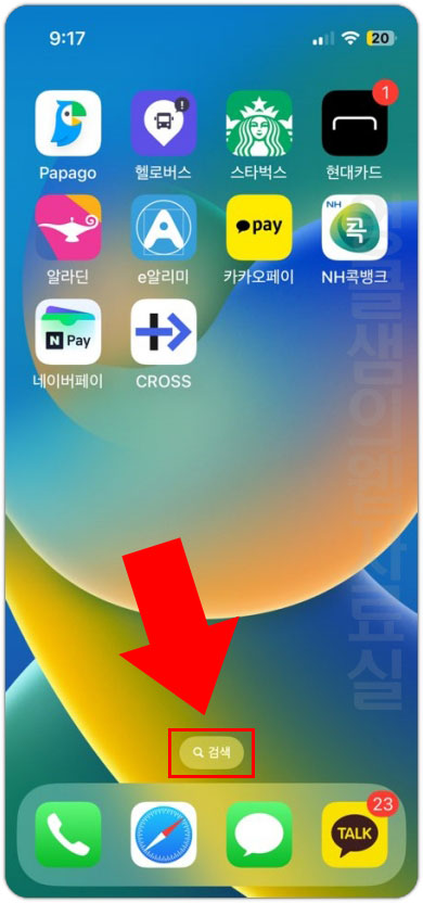 아이폰 검색 버튼