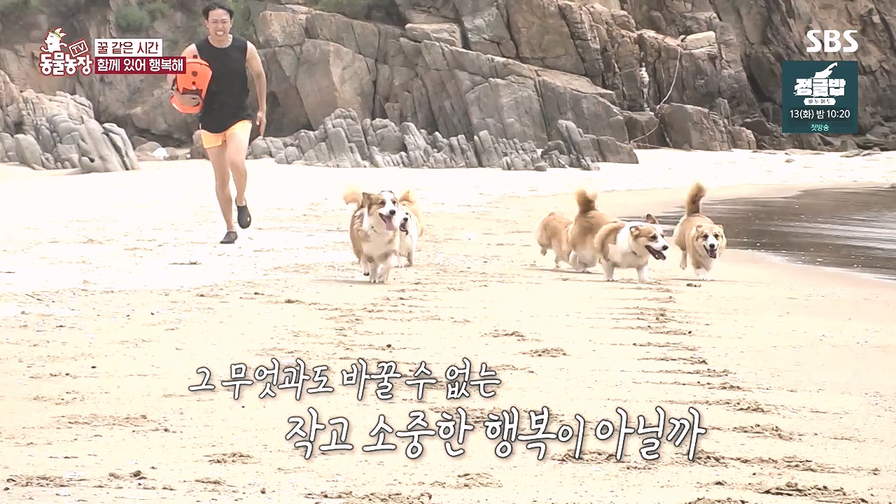 TV 동물농장.E1184.240812p-NEXT.mp4_20240811_172506.204.jpg