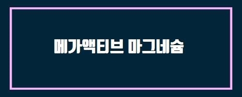  메가액티브 마그네슘 And 하루안