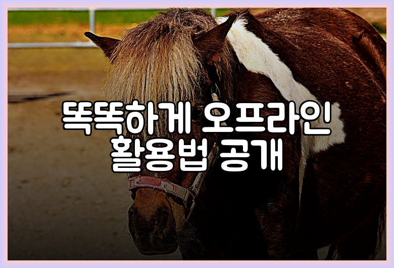 똑똑하게 오프라인 활용법 공개