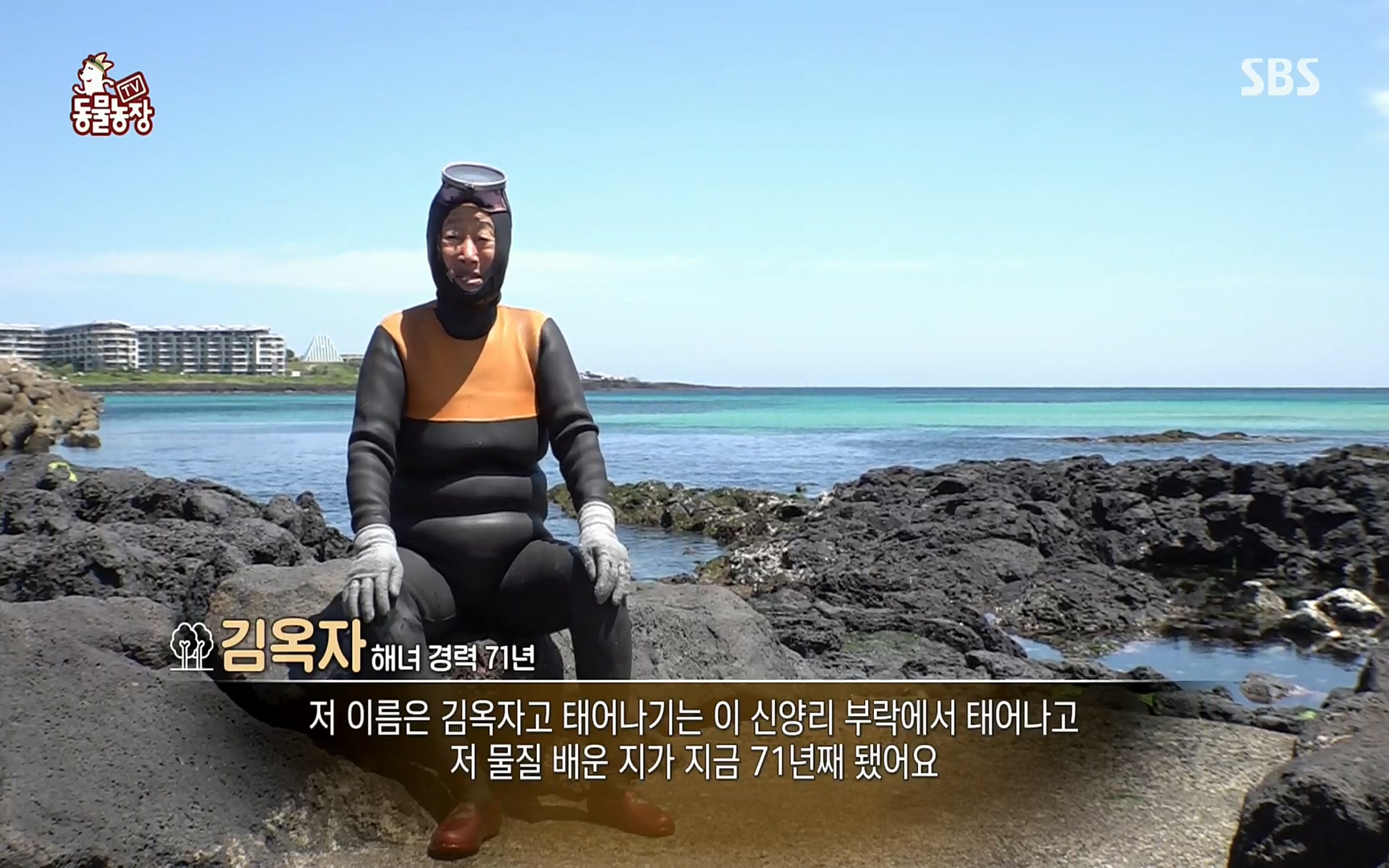 TV 동물농장.E1073.220612p.H264-F1RST.mp4_20220612_180422.642.jpg