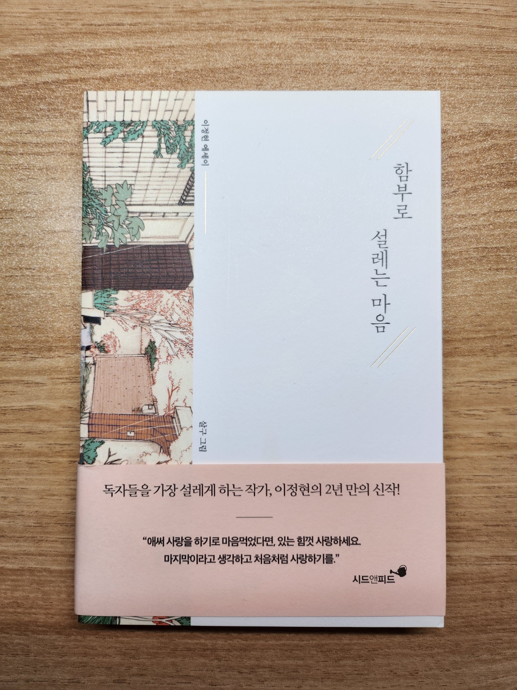  함부로 설레는 마음_ 이정현