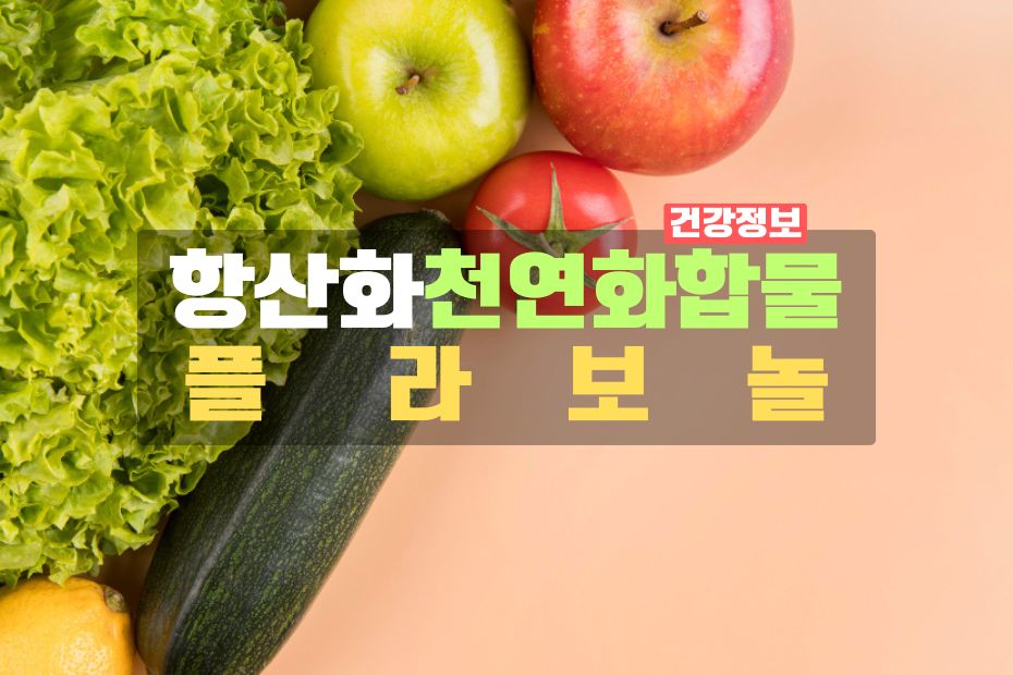 식물에서 발견되는 천연 항산화물질 '플라보놀'