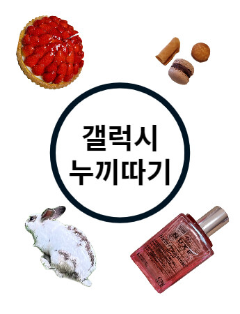갤럭시 누끼따기와 배경화면 합성하는 방법 갤럭시 누끼따기와 배경화면 합성하는 방법