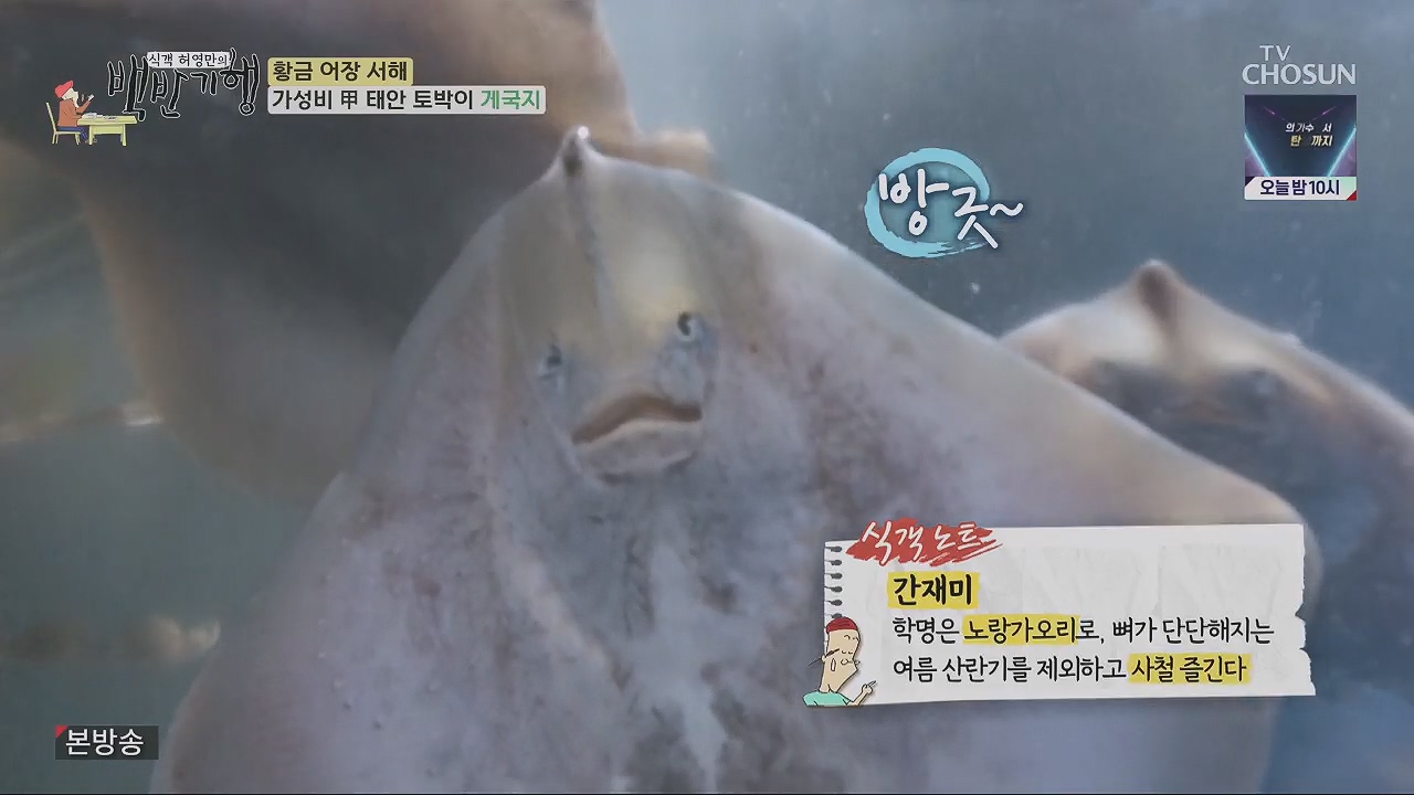 식객 허영만의 백반기행.E201.230520p.H264-F1RST.mp4_20230520_164607.210.jpg