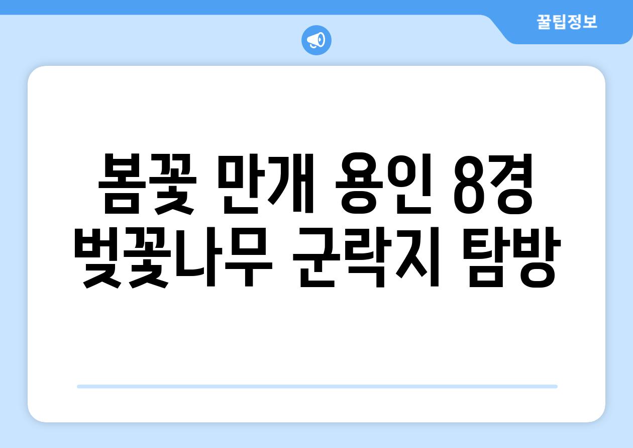 봄꽃 만개 용인 8경 벚꽃나무 군락지 탐방