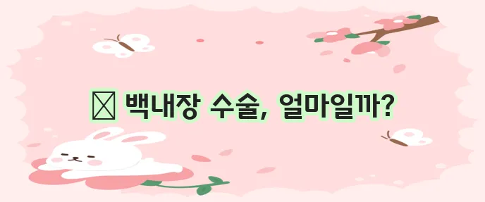 백내장 수술 비용 궁금증 해결하기