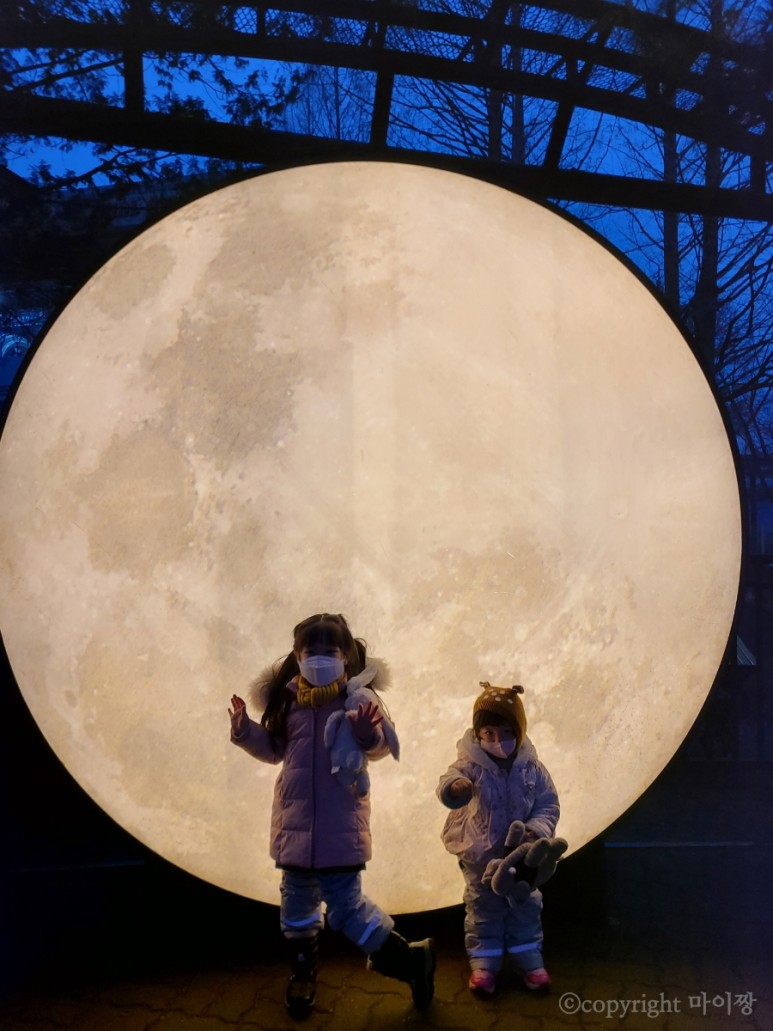 서울랜드빛축제 14