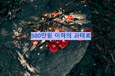 500만원 이하의 과태료