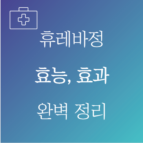 휴레바정