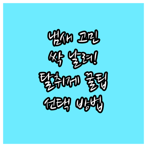 냄새 고민 해결! 효과적인 탈취제 선