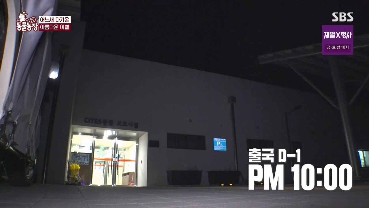 TV 동물농장.E1156.240129p-NEXT.mp4_20240128_191740.883.jpg