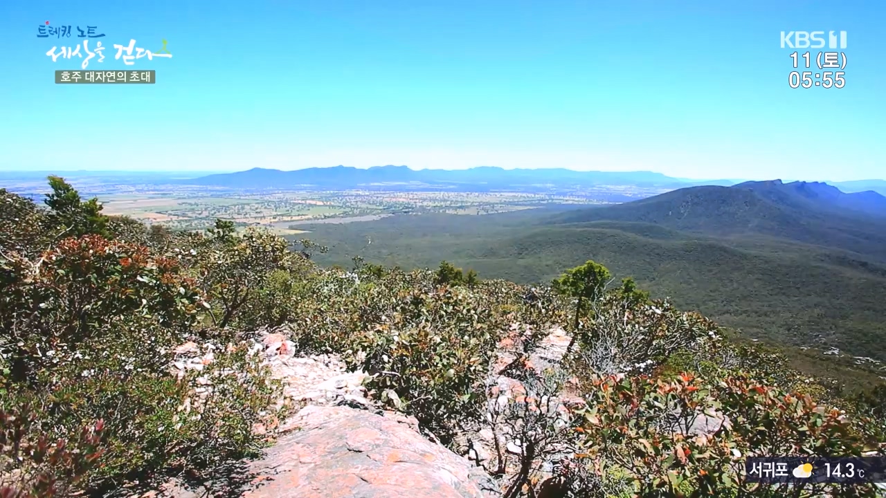 트레킹노트 세상을 걷다.E296.231112p-NEXT.mp4_20231111_182059.680.jpg