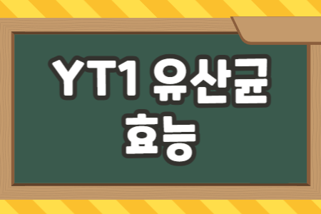 YT1 유산균 효능