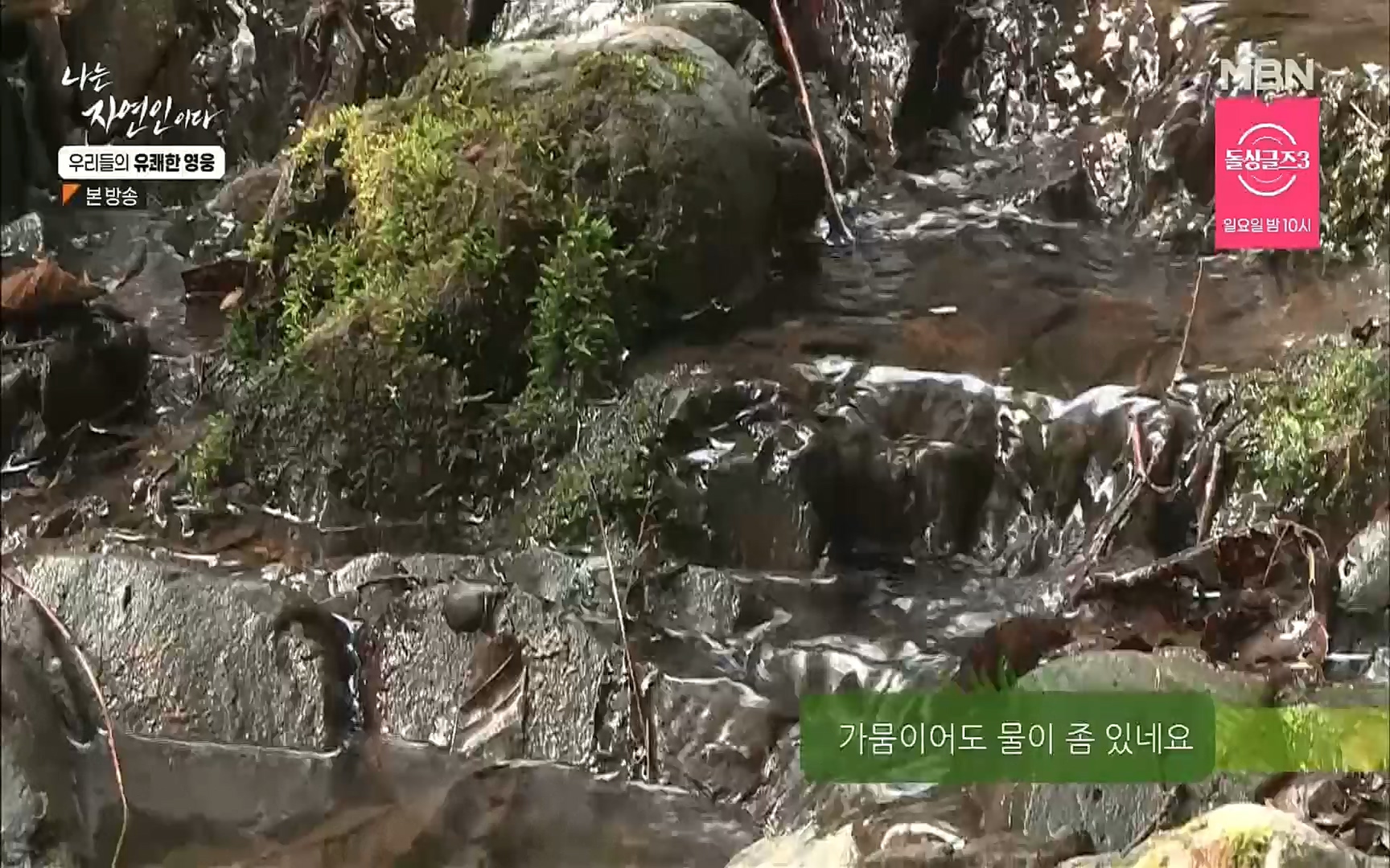 나는 자연인이다.E508.220629p.H264-F1RST.mp4_20220630_203357.760.jpg