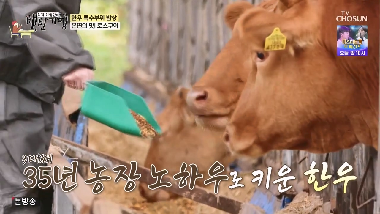 식객 허영만의 백반기행.E223.231118p-NEXT.mp4_20231118_165103.324.jpg