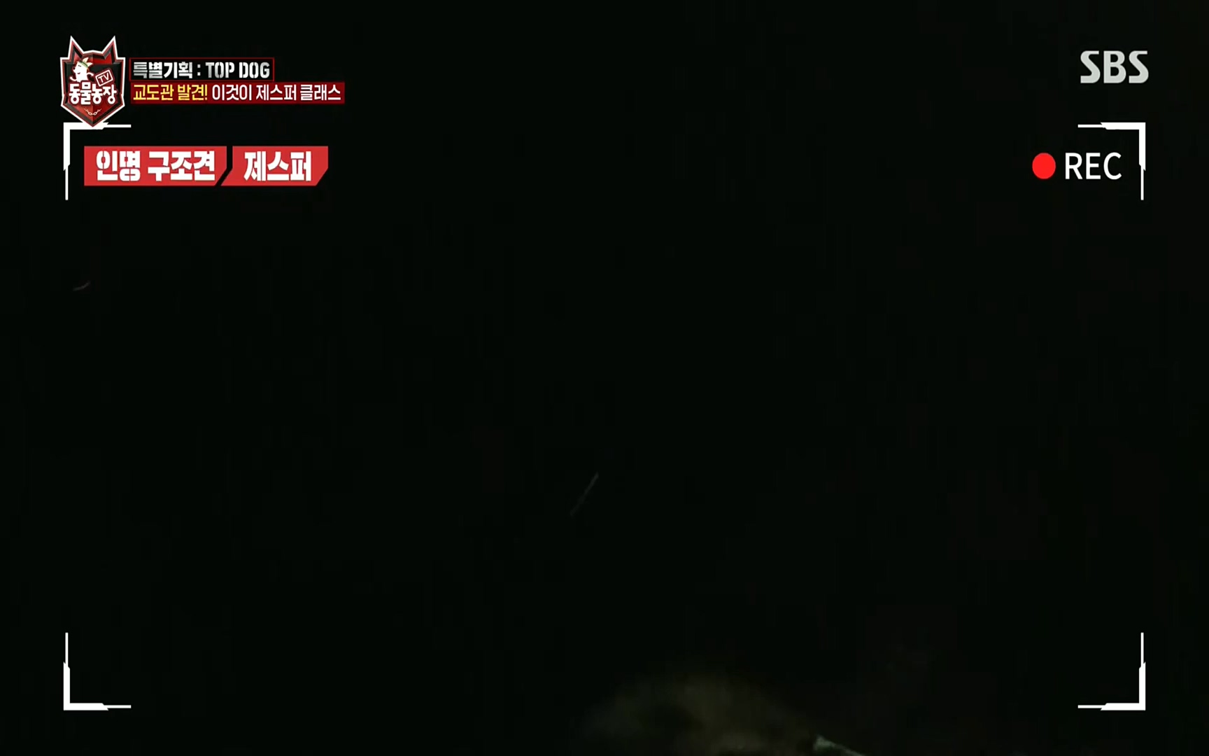 TV 동물농장.E1086.220911p.H264-F1RST.mp4_20220911_175417.952.jpg