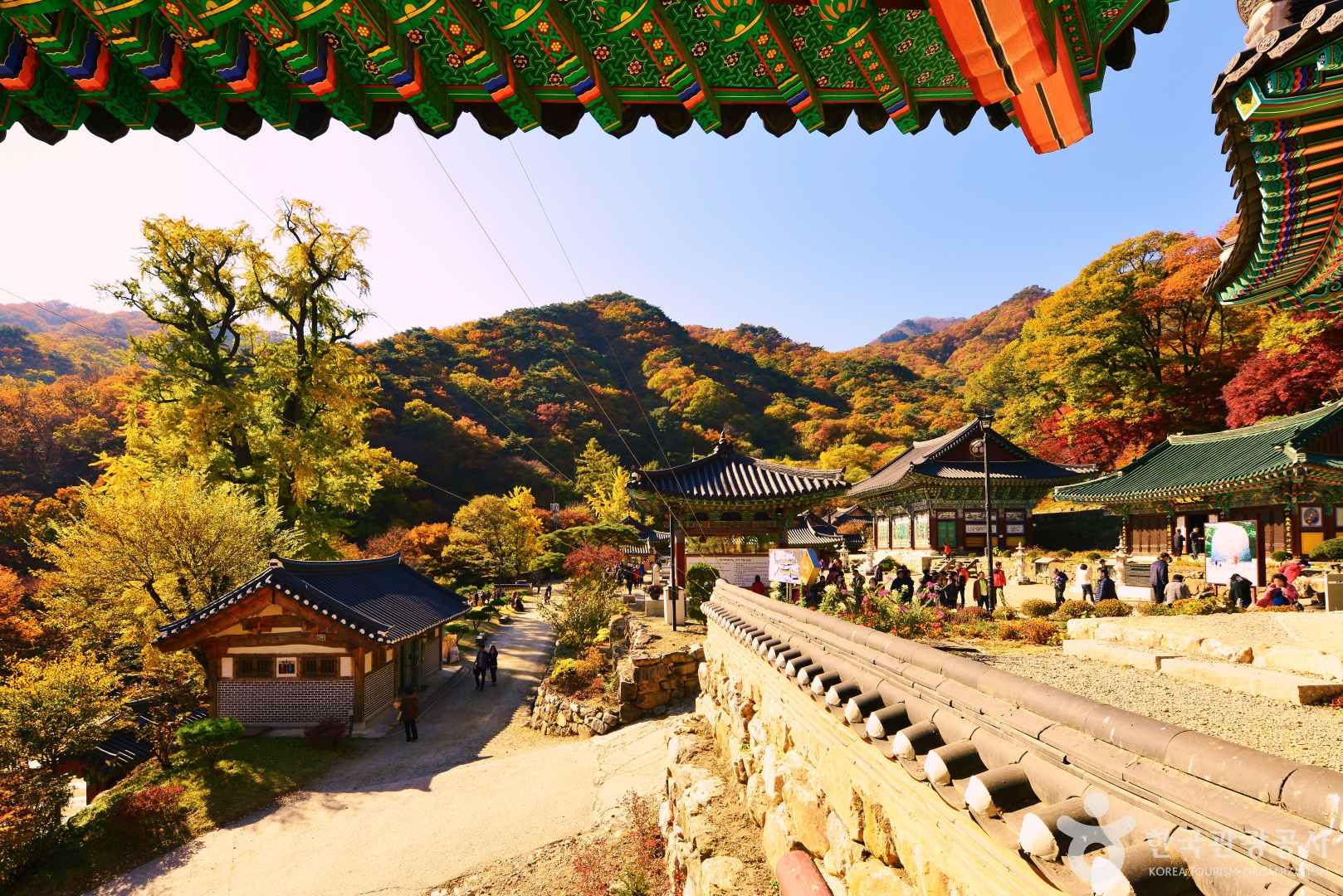 용문사