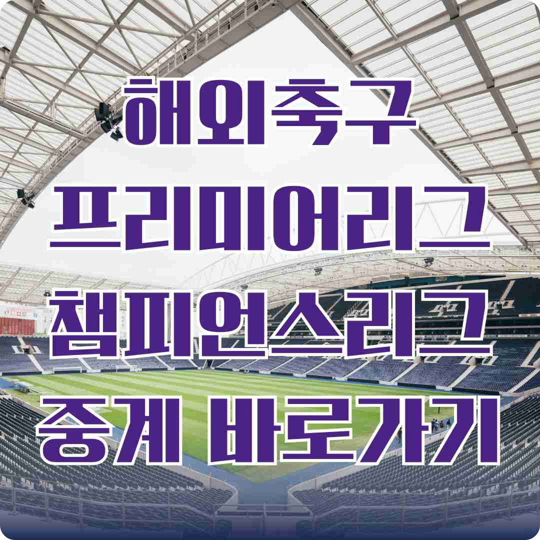 해외축구 프리미어리그 챔피언스리그 중계