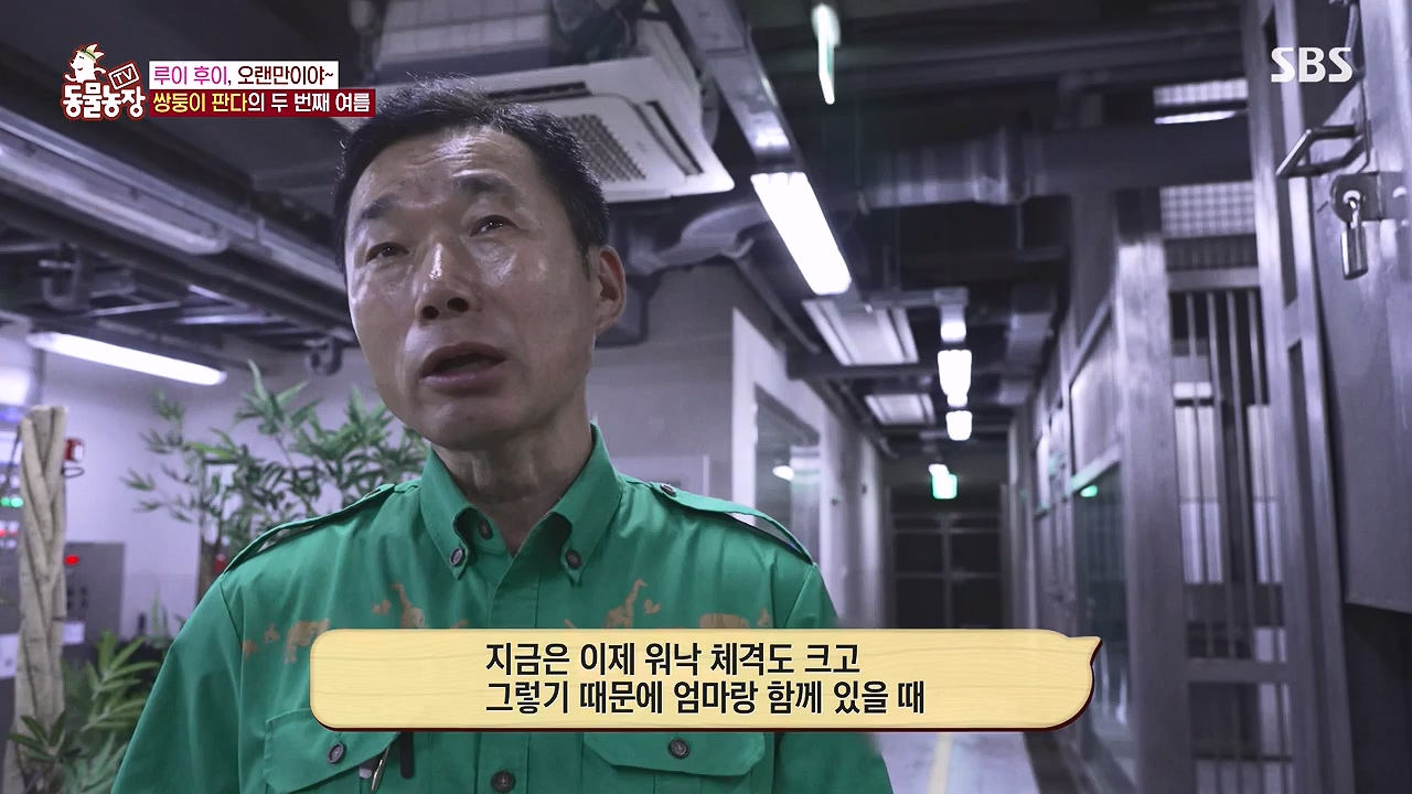 TV 동물농장.E1181.240722p-NEXT.mp4_20240721_165546.672.jpg