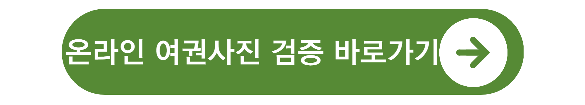 여권사진 규정