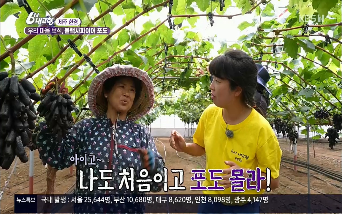 6시 내고향.E7602.220824p.H264-F1RST.mp4_20220825_171306.221.jpg