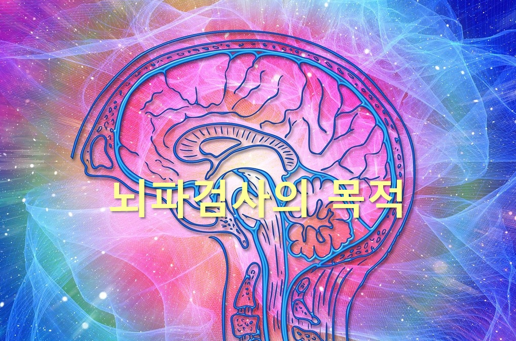  뇌파검사의 목적과 검사방법