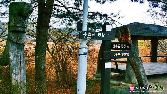 산수유꽃마을