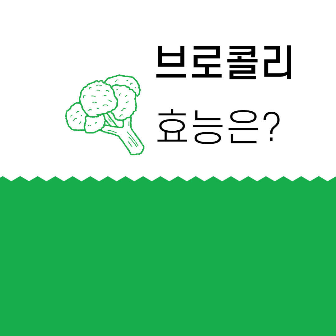  브로콜리의 효능 7가지 총 정리!