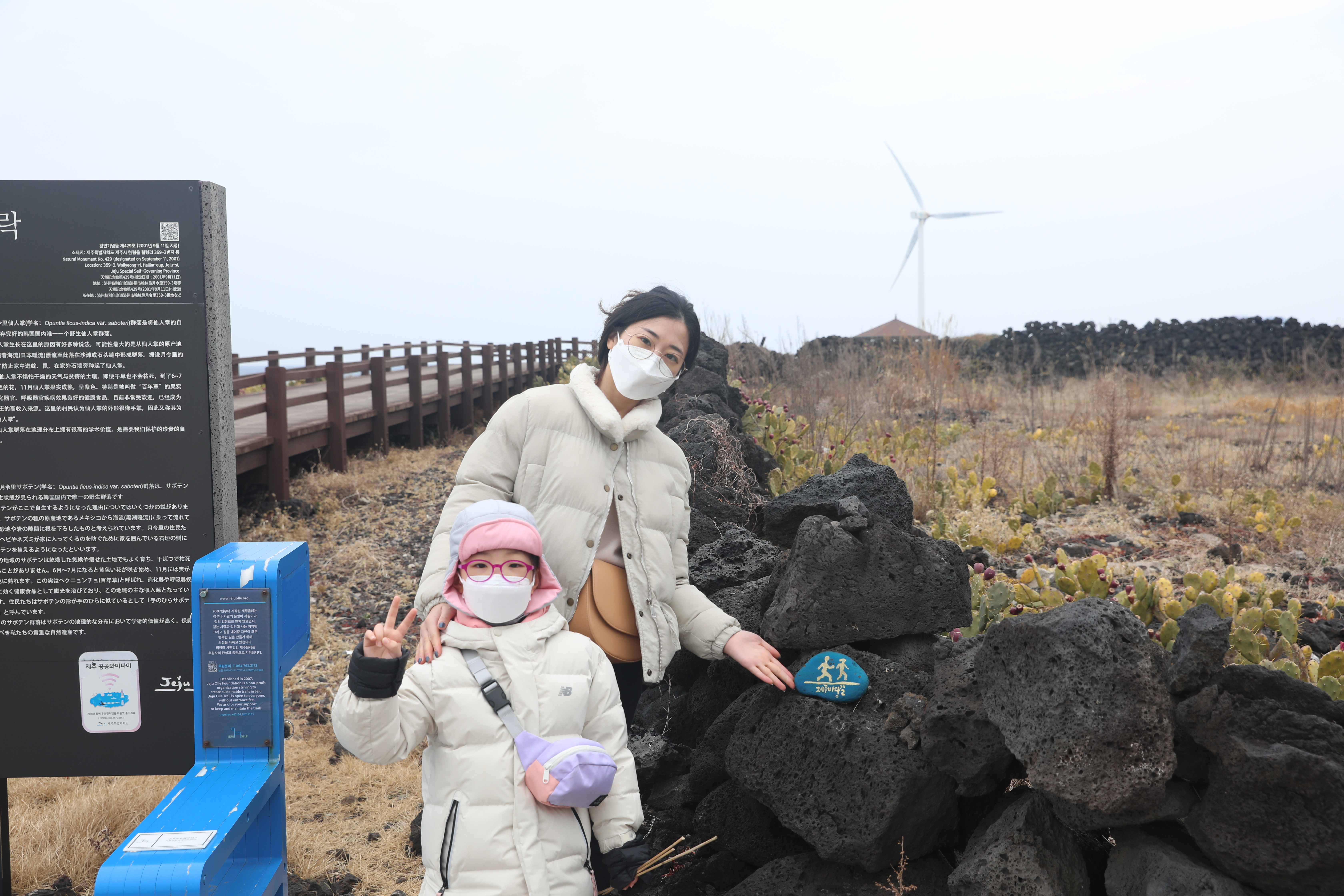 제주여행지 추천 월령 선인장 군락지 자생지 주차/화장실