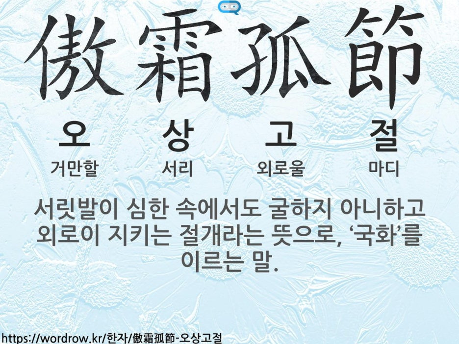 정답은꽃 이미지