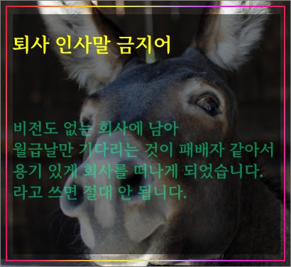 퇴사-인사말-금지어