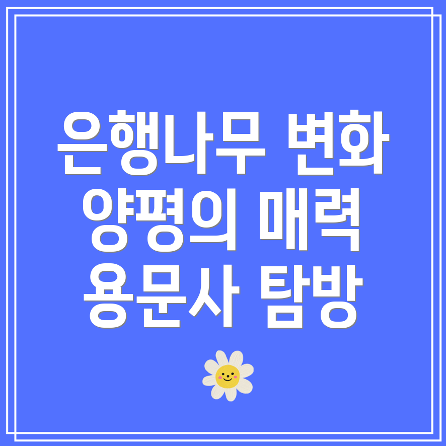 은행나무 변화